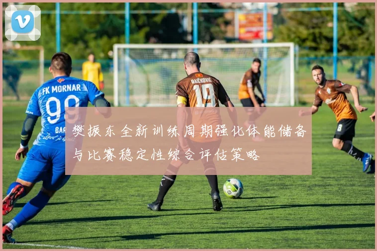 樊振东全新训练周期强化体能储备与比赛稳定性综合评估策略